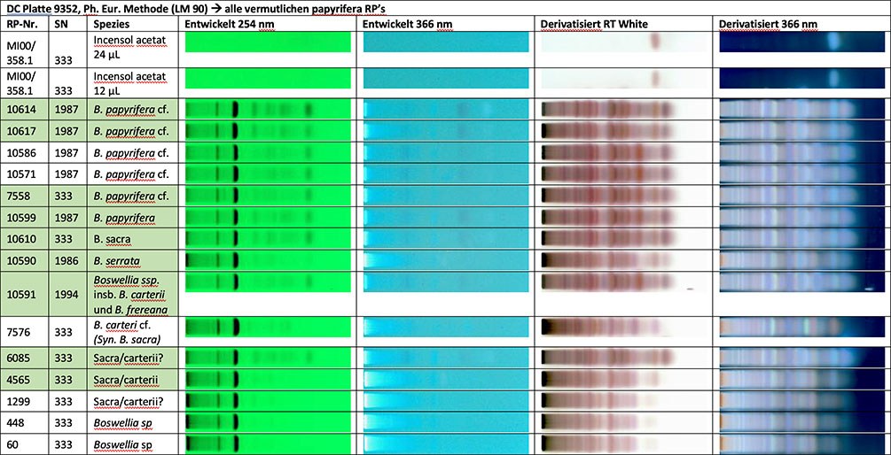 Dünnschichtchromatogramme von verschiedenen Boswelliaarten