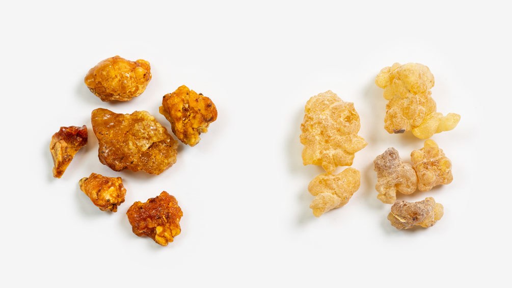 Myrrhe (links) und Weihrauch (rechts): zum Verwechseln ähnlich