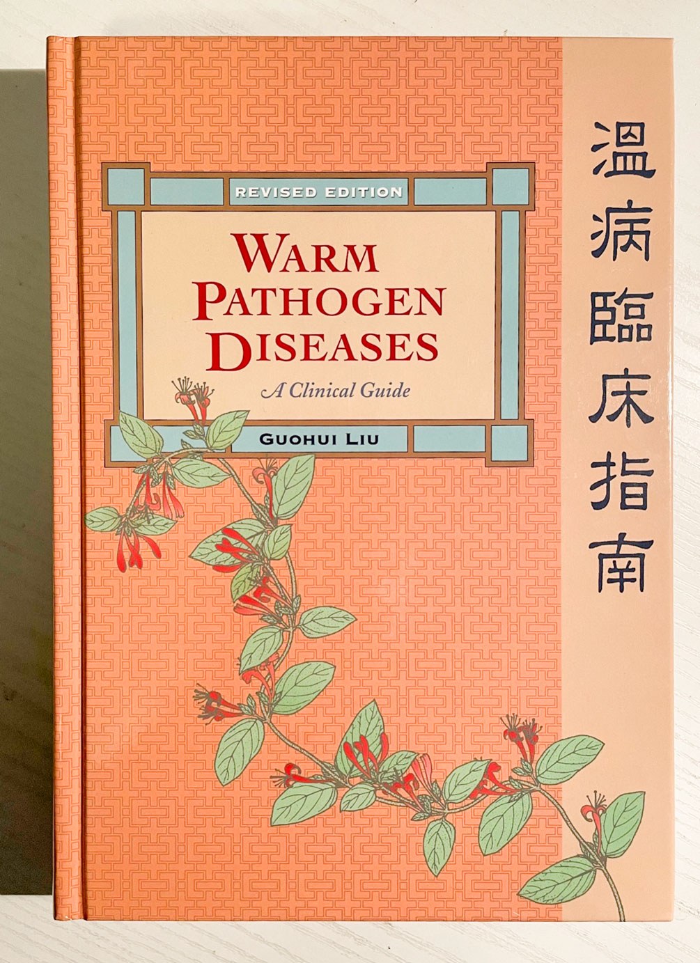 Wen Bing Lun von Liu Guohui