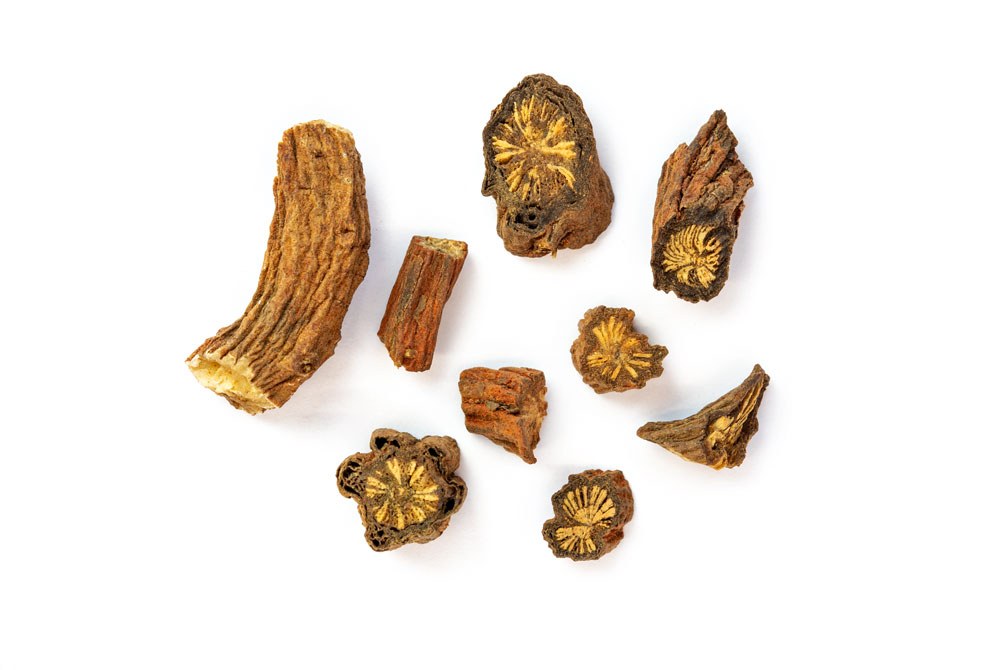 Getrocknete Rotwurzelsalbei (Dan Shen, Salvia mltiorrhiza)