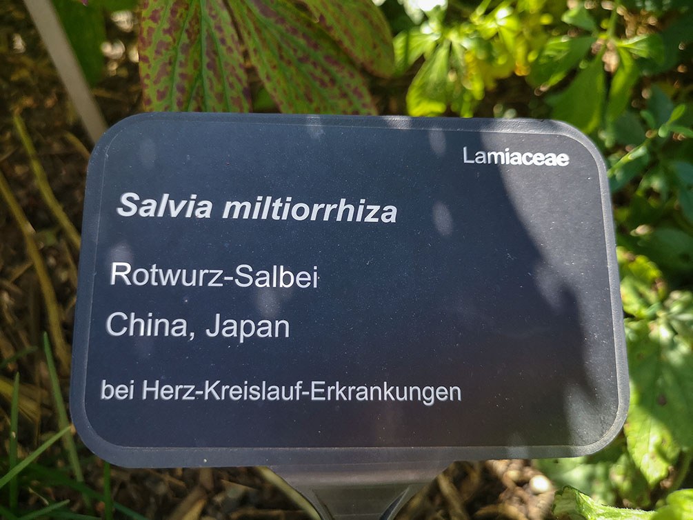 Salvia beschilderung