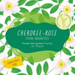 Cherokee Rose Etikette