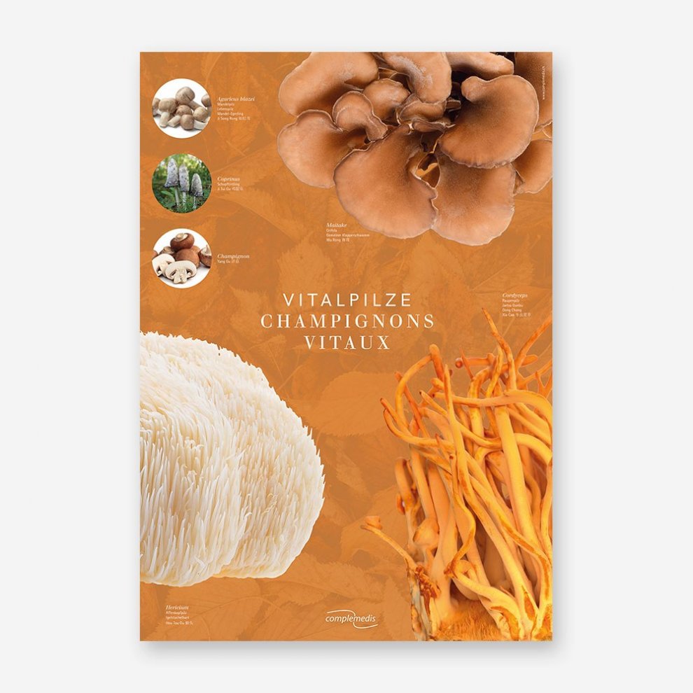 Vitalpilz plakat 2 1000px